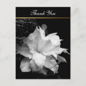 Clematis 2cフローラBWフォト悔やみや弔慰ありがとう ポストカード (正面)