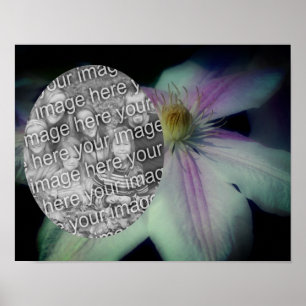 Clematis Flower花びらフレーム自分の写真を作成 ポスター