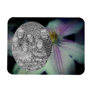 Clematis Flower花びらフレーム自分の写真を作成 マグネット