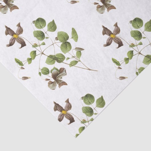 Clematis Flower Pattern 薄葉紙 (詳細)