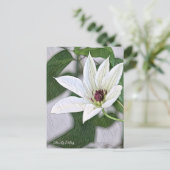 Clematis Patens ポストカード (スタンド正面)
