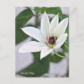 Clematis Patens ポストカード (正面)