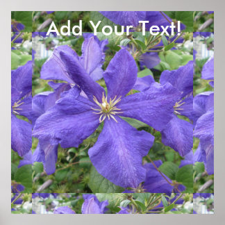 Clematis Purple Green Flower ポスター