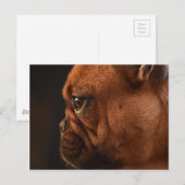 Clémentine ポストカード (正面/裏面)