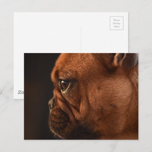 Clémentine ポストカード (正面/裏面)