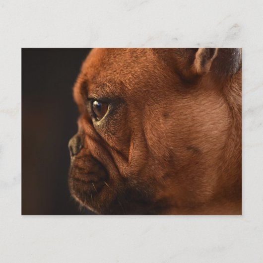 Clémentine ポストカード (正面)