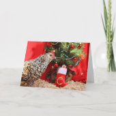 Clementine's Christmas Wish  シーズンカード (正面)