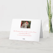 Clementine's Christmas Wish シーズンカード (裏面)