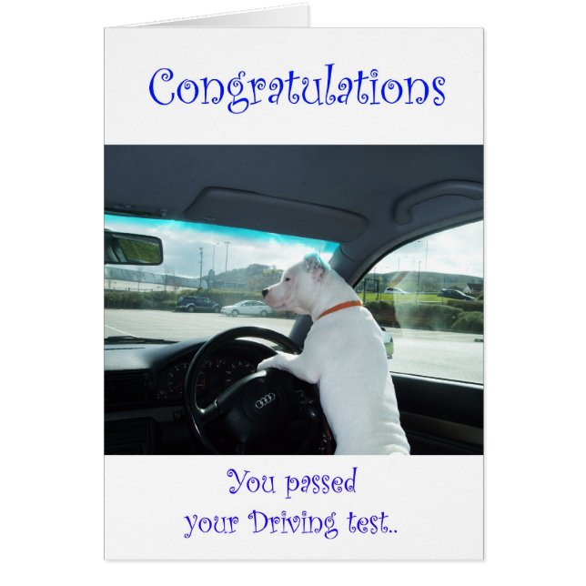 Cleoは運転免許試験に合格しました (正面)