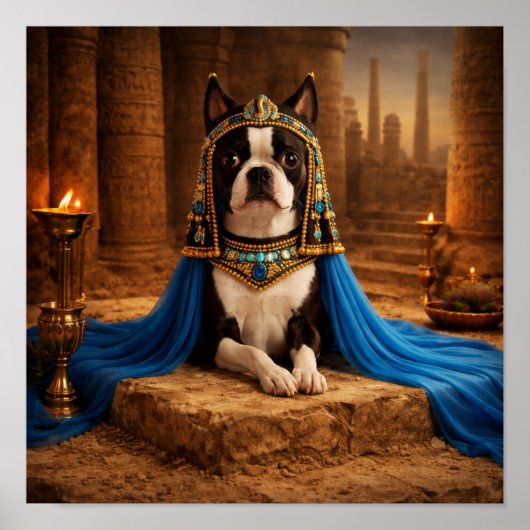 "Cleo" ポスター (正面)