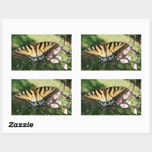 Cleome Rectaの隣のTigerアゲハチョウのクローズアップ 長方形シール (シート)