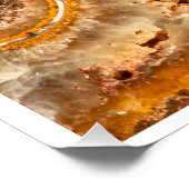 Cleoniceras Ammonite Fossil Wall Art Nature Print ポスター (コーナー)