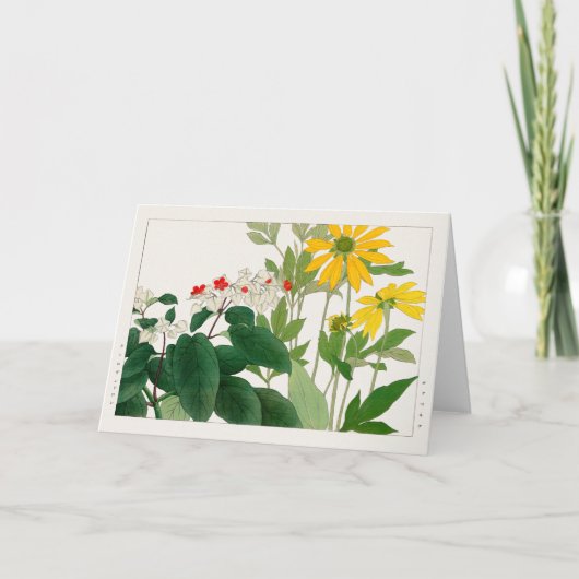 Clerodendrum thomsoniae、Rudbeckia、Tanigami Kona カード (正面)