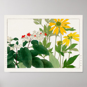 Clerodendrum thomsoniae、Rudbeckia、Tanigami Kona ポスター
