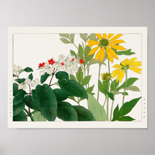 Clerodendrum thomsoniae、Rudbeckia、Tanigami Kona ポスター (正面)