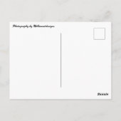 「Cleveland, Ohio Landscape」ポストカード ポストカード (裏面)