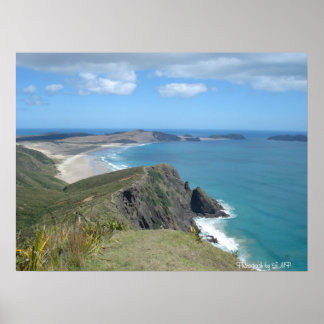 Cliff at Cape Reinga, NZ, Photography by LMP ポスター