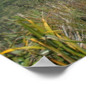 Cliff at Cape Reinga, NZ, Photography by LMP ポスター (角)
