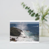 Cliff Walk at Newport, RI ポストカード (スタンド正面)