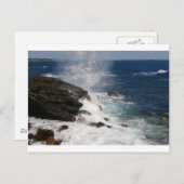 Cliff Walk at Newport, RI ポストカード (正面/裏面)