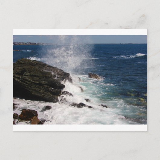 Cliff Walk at Newport, RI ポストカード (正面)