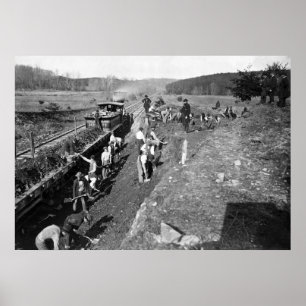 Clifton、ヴァージニア1863年の内戦の鉄道 ポスター