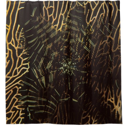 Climate シャワーカーテン (正面)