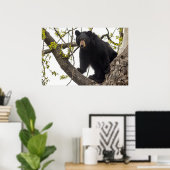 Climbing Black Bear ポスター (ホームオフィス)