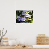 Climbing Morning Glories ポスター (キッチン)