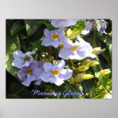 Climbing Morning Glories ポスター (正面)