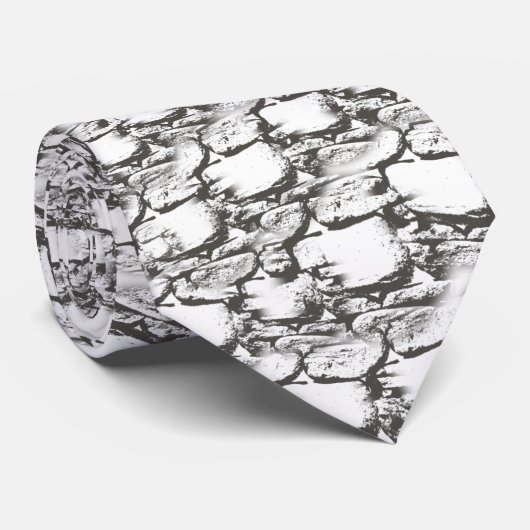 Climbing the Wall Men's Tie ネクタイ (ロール)