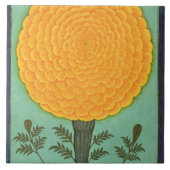Cliveの小さいアルバムからのマリーゴールド、(w/c papで タイル (正面)