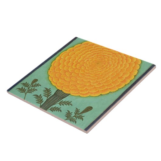 Cliveの小さいアルバムからのマリーゴールド、(w/c papで タイル (側面)