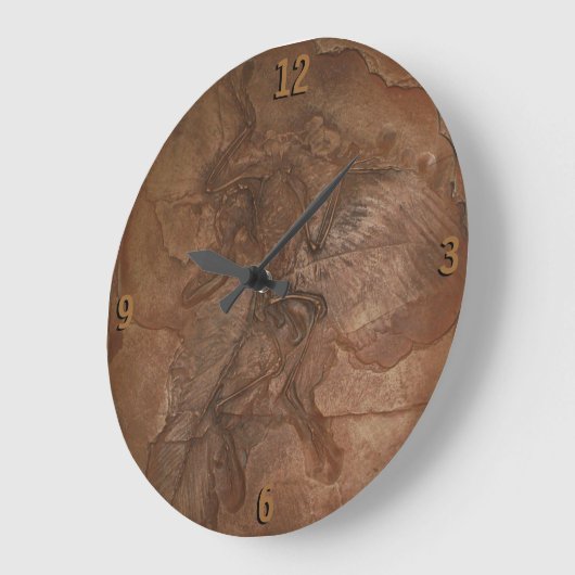 Clock - Archaeopteryx fossil ラージ壁時計 (傾斜)