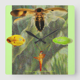 "Clock Roach" Roach enthusiasts will love this!! スクエア壁時計