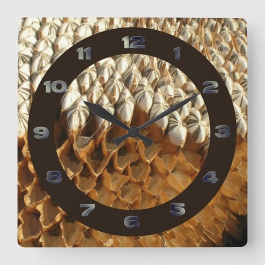 Clock - Sunflower Seeds with Circle スクエア壁時計 (正面)