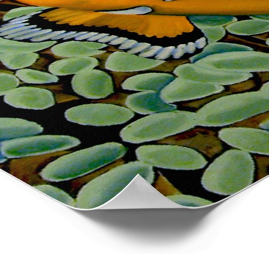 Clognfish in Frogspawn Coral ポスター (角)