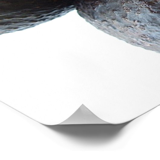 Close Avocados ポスター (角)