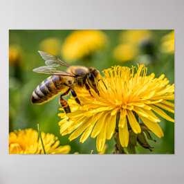 Close Up of a Honeybee Collecting Nectar ポスター