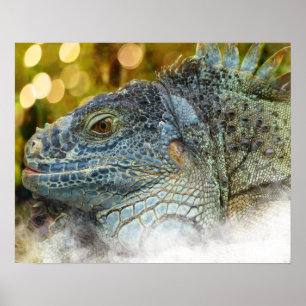 Close Up of a Large Scalygreen  Iguana Lizard ポスター