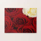 Close-up of roses ジグソーパズル (横)