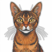 Close-Up Orange Tabby Abyssinian Cat Portrait シール (正面)