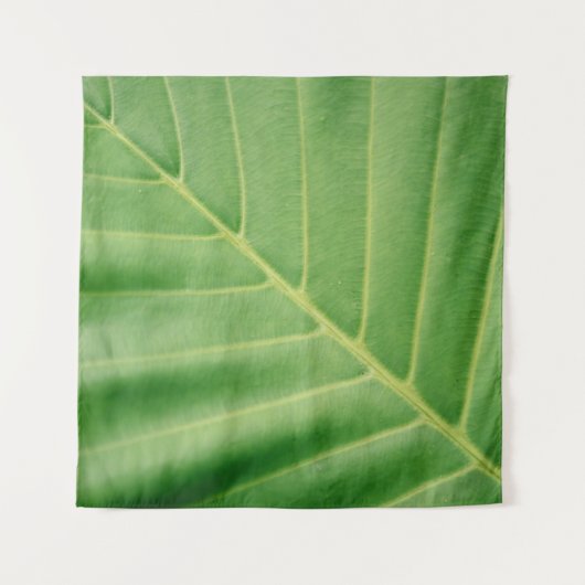 Close up photo of green leaf タペストリー (正面)