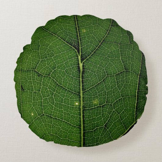 Close up photo of leaf ラウンドクッション (正面)