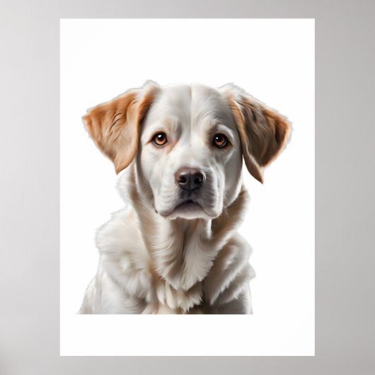 Close-Up Portrait of a Sweet-Faced Dog ポスター (正面)