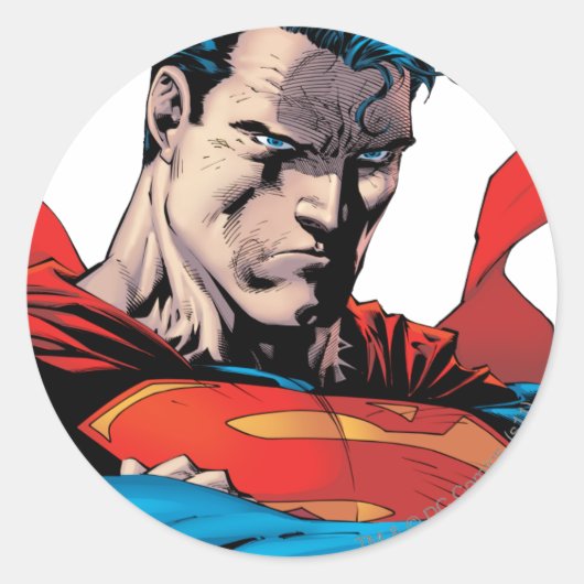 Close up to face ラウンドシール (正面)