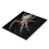 Close Up Wonder：ヨーロッパガーデンスパイダー タイル (側面)