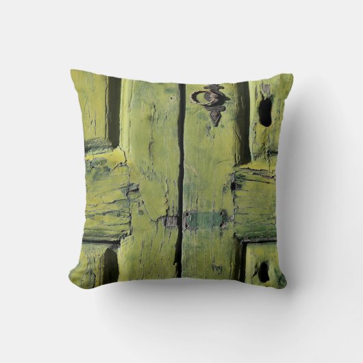 Closed brown wooden 2-panel door クッション (正面)