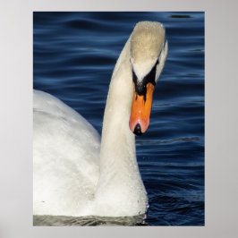 Closeup ポスター