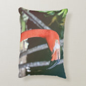 Closeup photography of red long-neck bird アクセントクッション (裏面(縦))